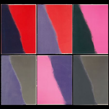 Serigrafía Warhol - Shadows II Complete Portfolio (FS II.210-215)