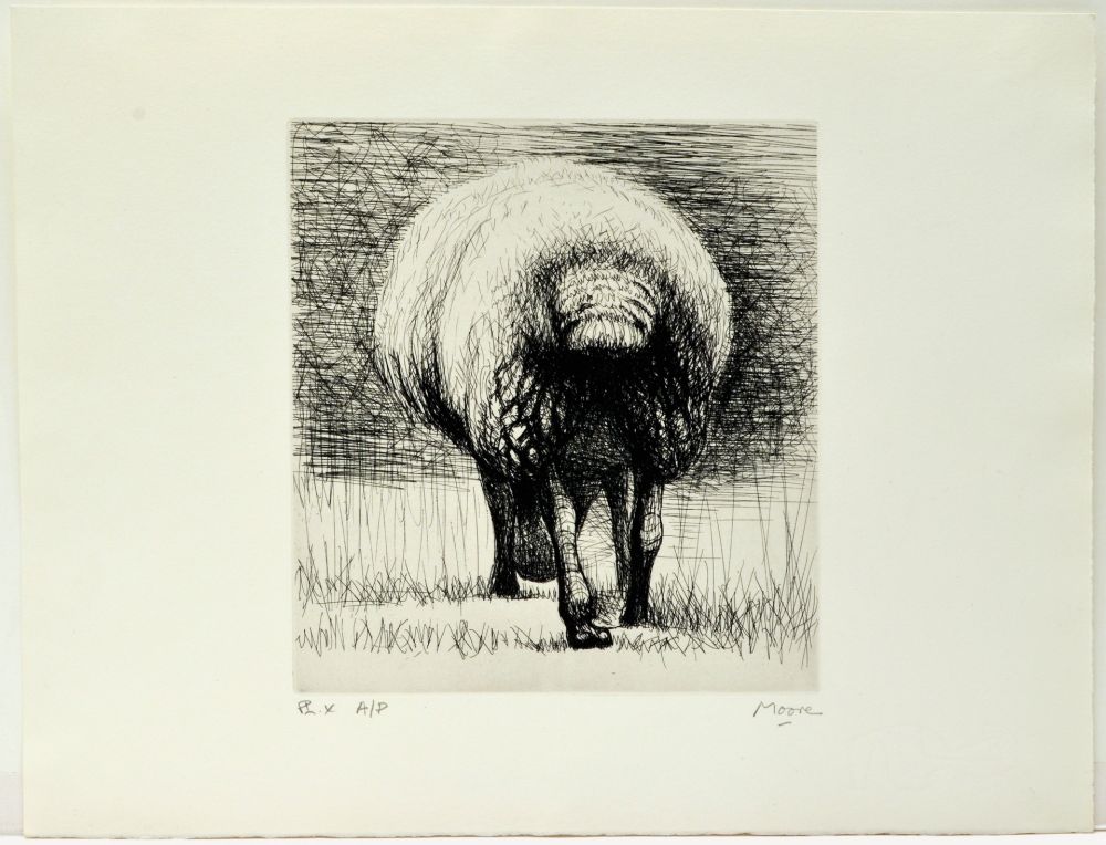 Aguafuerte Moore - Sheep back view