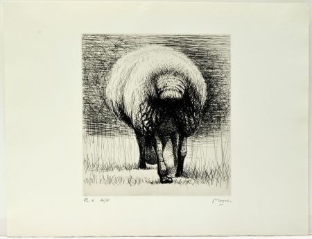 Aguafuerte Moore - Sheep back view