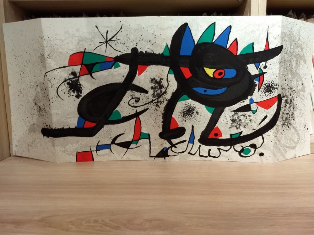 Libro Ilustrado Miró - Sobreteixims