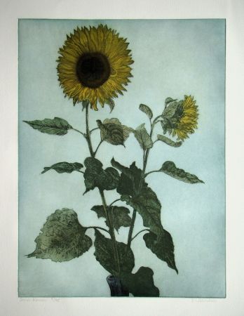 Grabado Michelsen - Sonnenblumen