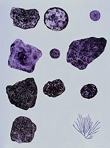 Litografía Brown - Sponge, seaweed & Coral