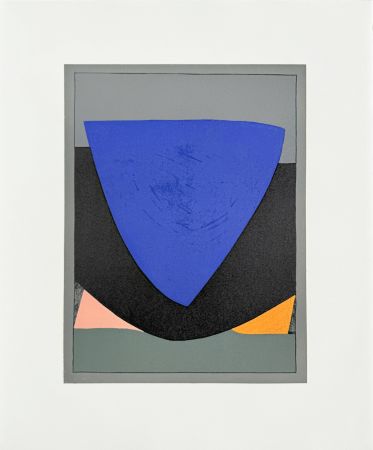 Litografía Vasarely - Tecoma