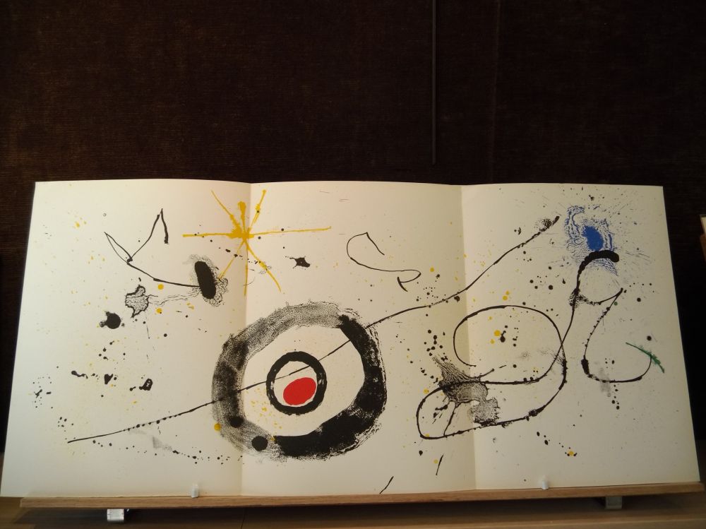 Libro Ilustrado Miró - Terres de grand feu