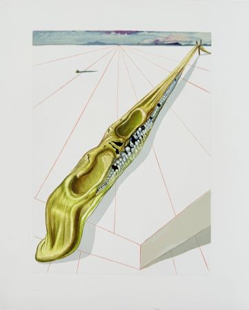 Grabado En Madera Dali - The Inferno, Canto 14 - Blasphémateurs