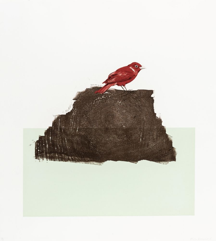 Grabado En Madera Drummond - The Northern Cardinal (or Redbird)