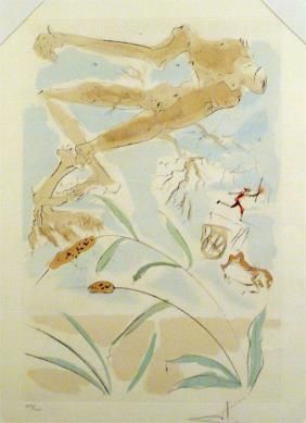 Sin Técnico Dali - The Oak and the Reed - from the suite 