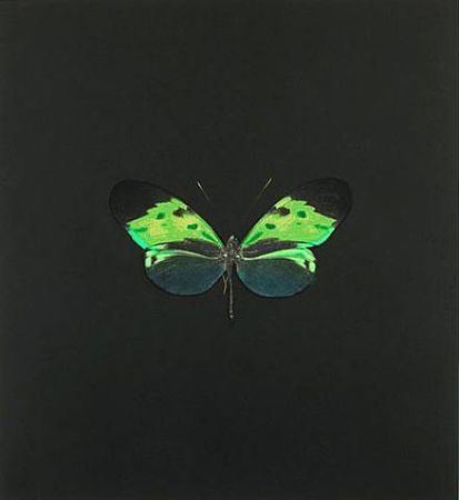 Aguafuerte Hirst - The Souls on Jacob's Ladder Take Their Flight (Small Green)