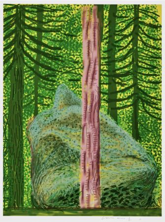 Sin Técnico Hockney - The Yosemite Suite No. 19 is a iPad drawing printed in colour by David Hockney