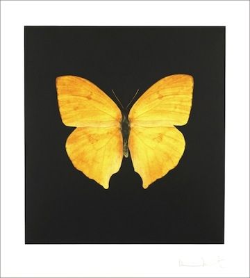 Aguafuerte Hirst - TheSouls on Jacob's Ladder Take Their Flight (Large Yellow)