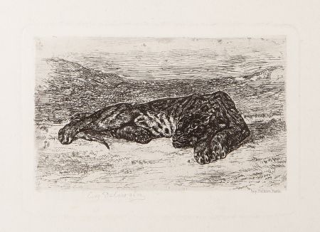 Grabado Delacroix - Tiger Sleeping in the Desert