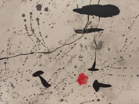 Libro Ilustrado Miró - Trace Sur l'eau