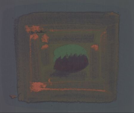 Múltiple Hodgkin - Tropical Fruit