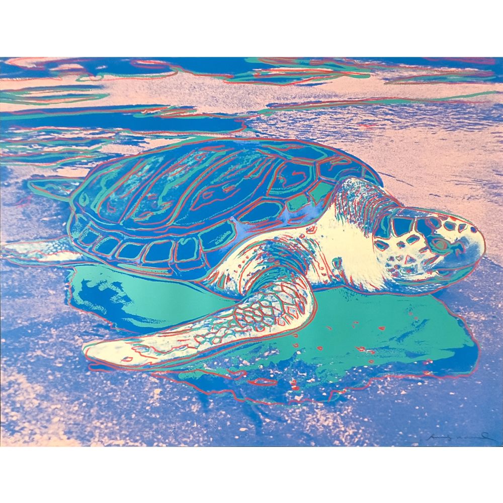 Serigrafía Warhol - Turtle