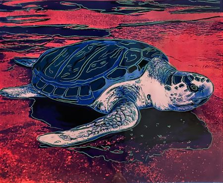 Serigrafía Warhol (After) - Turtle