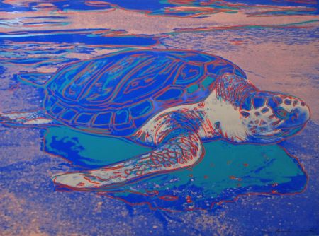 Serigrafía Warhol - Turtle 