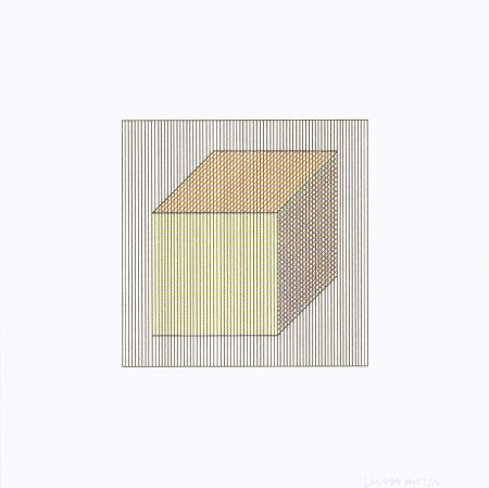 Serigrafía Lewitt - Twelve Forms Derived From a Cube 01