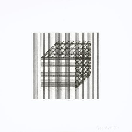 Serigrafía Lewitt - Twelve Forms Derived From a Cube 02