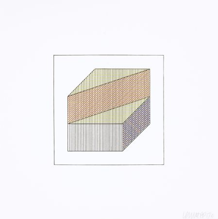 Serigrafía Lewitt - Twelve Forms Derived From a Cube 07
