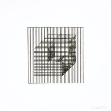 Serigrafía Lewitt - Twelve Forms Derived From a Cube 16