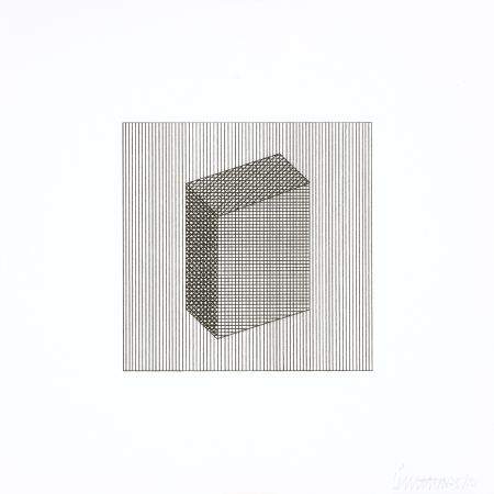 Serigrafía Lewitt - Twelve Forms Derived From a Cube 18