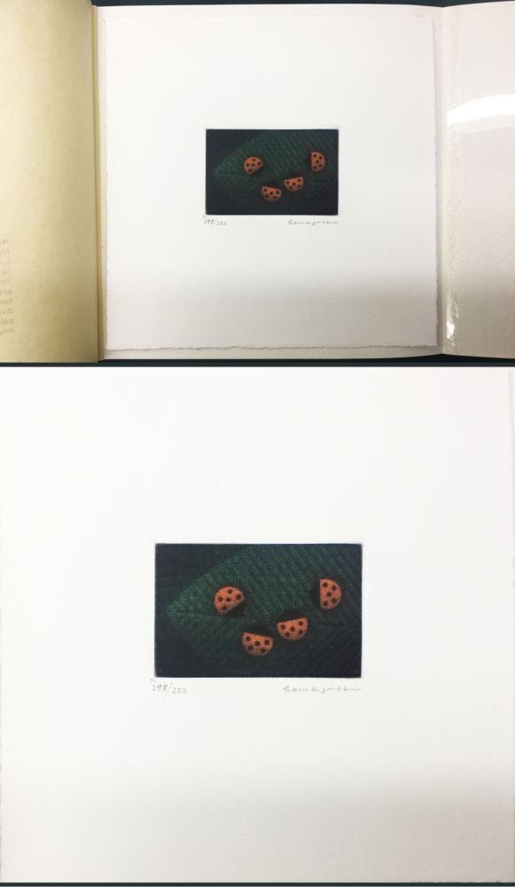 Manera Negra Hamaguchi - Two Pairs (Ladybirds). signed. with the original book (1976)