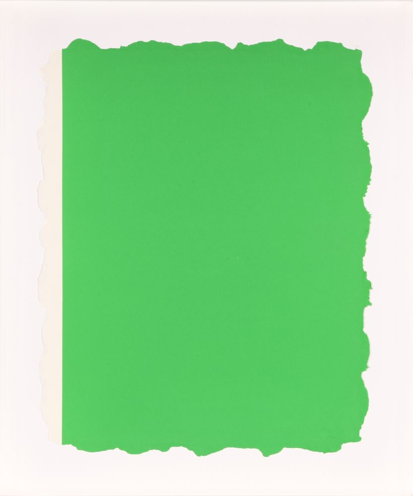 Aguatinta Flavin - Untitled, from Sequences - Green