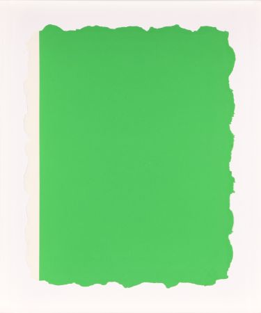 Aguatinta Flavin - Untitled, from Sequences - Green