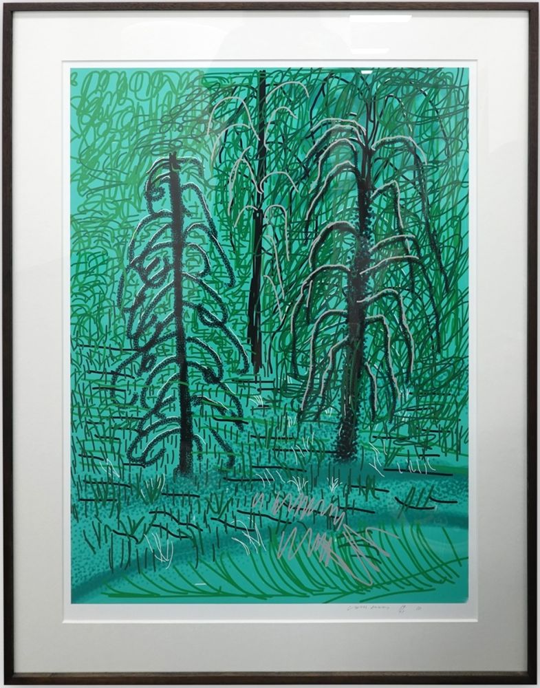 Sin Técnico Hockney - Untitled No.16 from The Yosemite Suite