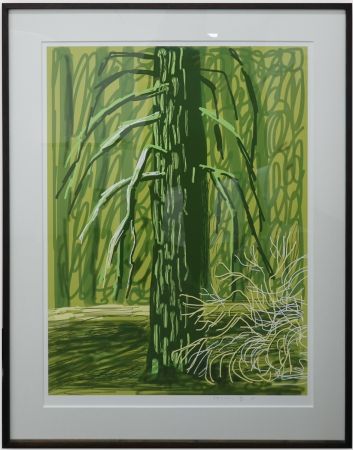 Sin Técnico Hockney - Untitled No.18 from The Yosemite Suite