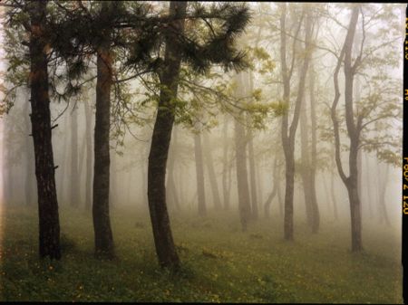 Fotografía Sitchinava - Upslope Fog in May 3