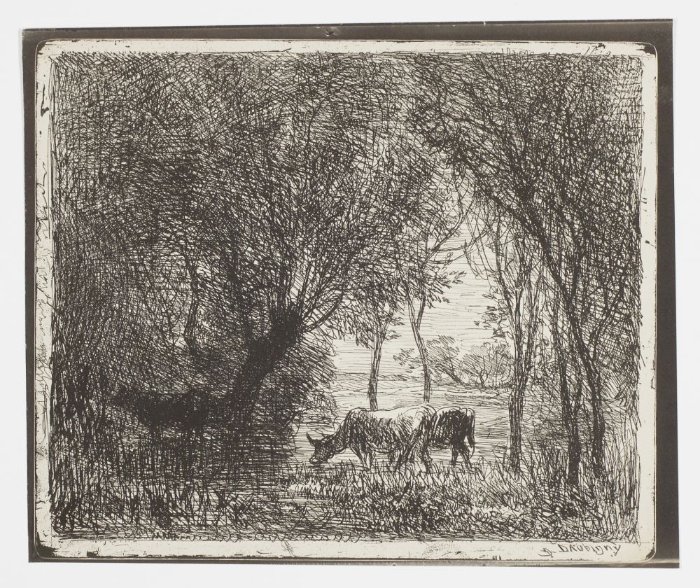 Sin Técnico Daubigny - Vaches sous Bois (Cows in the Woods, Cows under Trees)