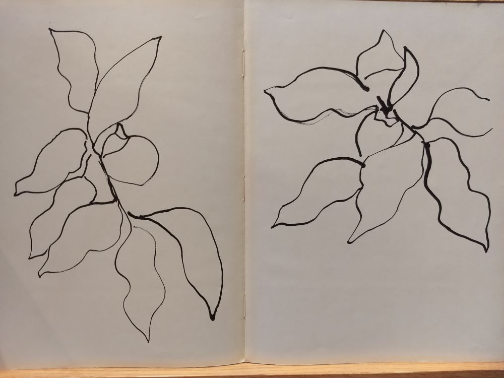 Libro Ilustrado Matisse - Vence