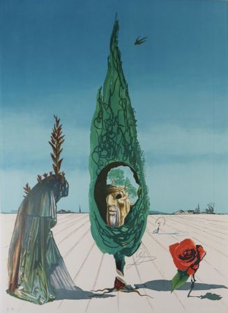 Litografía Dali - Vision Surrealist Enigma of The Rose