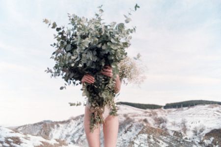 Fotografía Sitchinava - Winter Bouquet