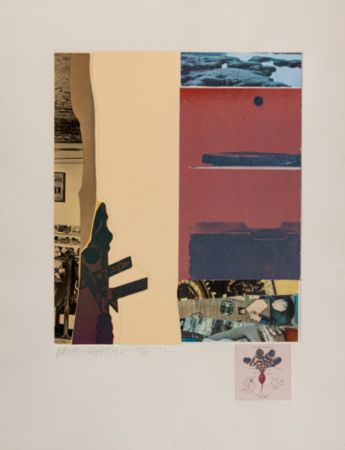 Múltiple Rauschenberg - XI (from Horsefeathers Thirteen)
