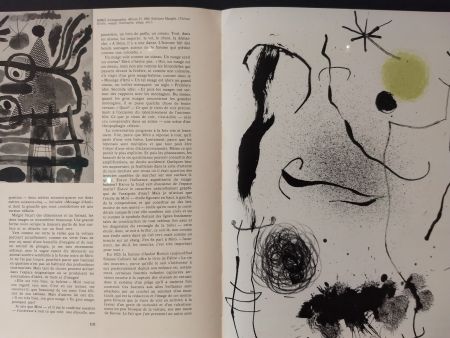 Libro Ilustrado Miró - XXE No 24