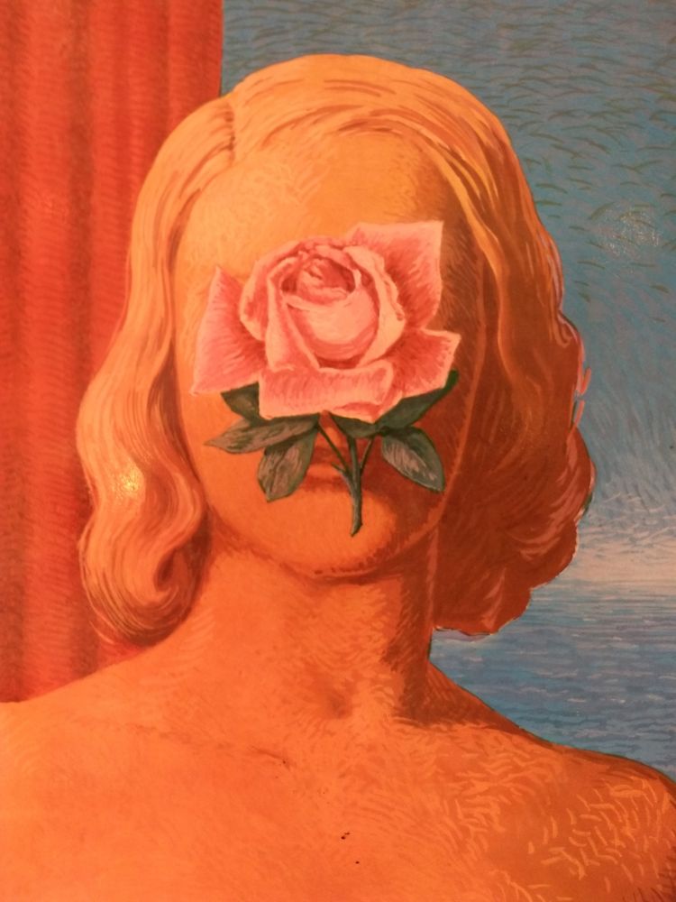 Libro Ilustrado Magritte - XXE No 25