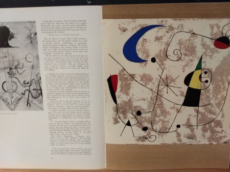 Libro Ilustrado Miró - Xxe No 8