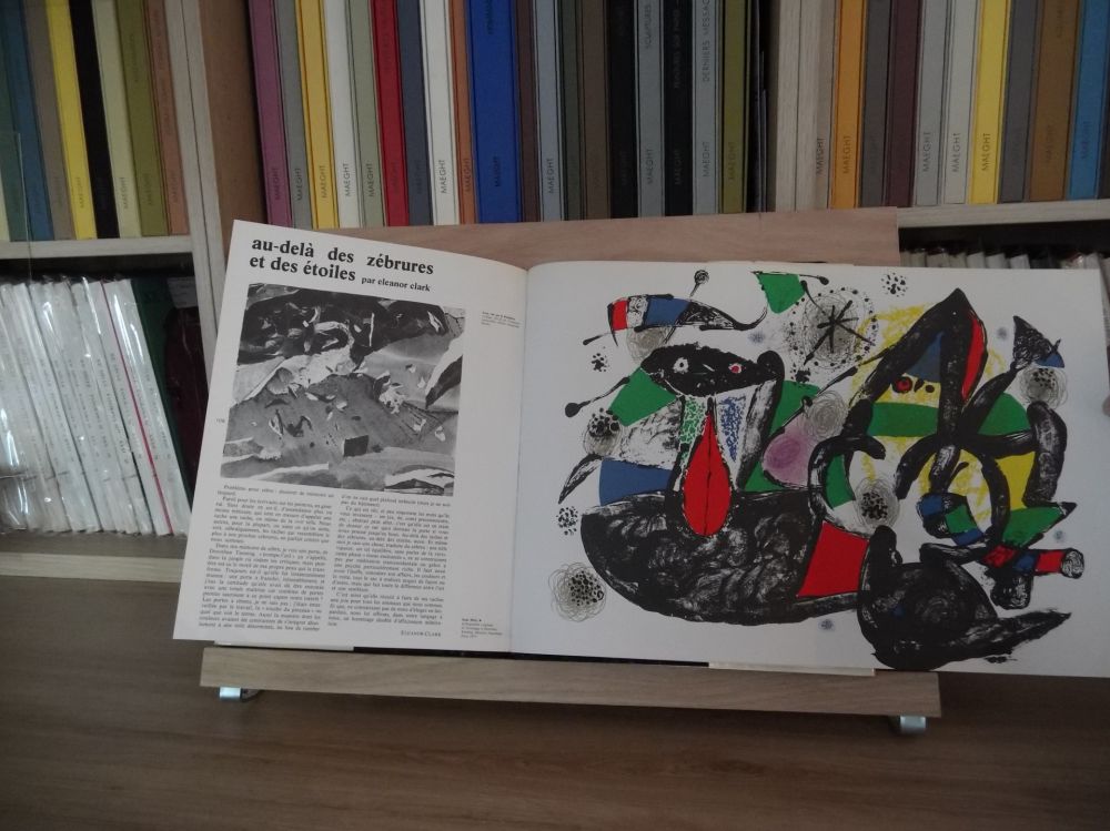 Libro Ilustrado Miró - Xxe Tanning