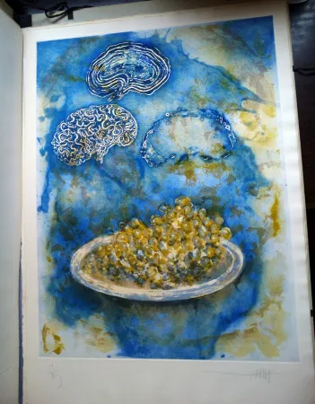 Libro Ilustrado Amat - La Ventada del somni