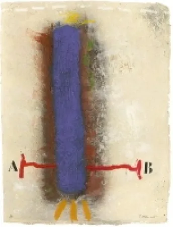 Carborundo Coignard - 1112 Verticlite Bleue