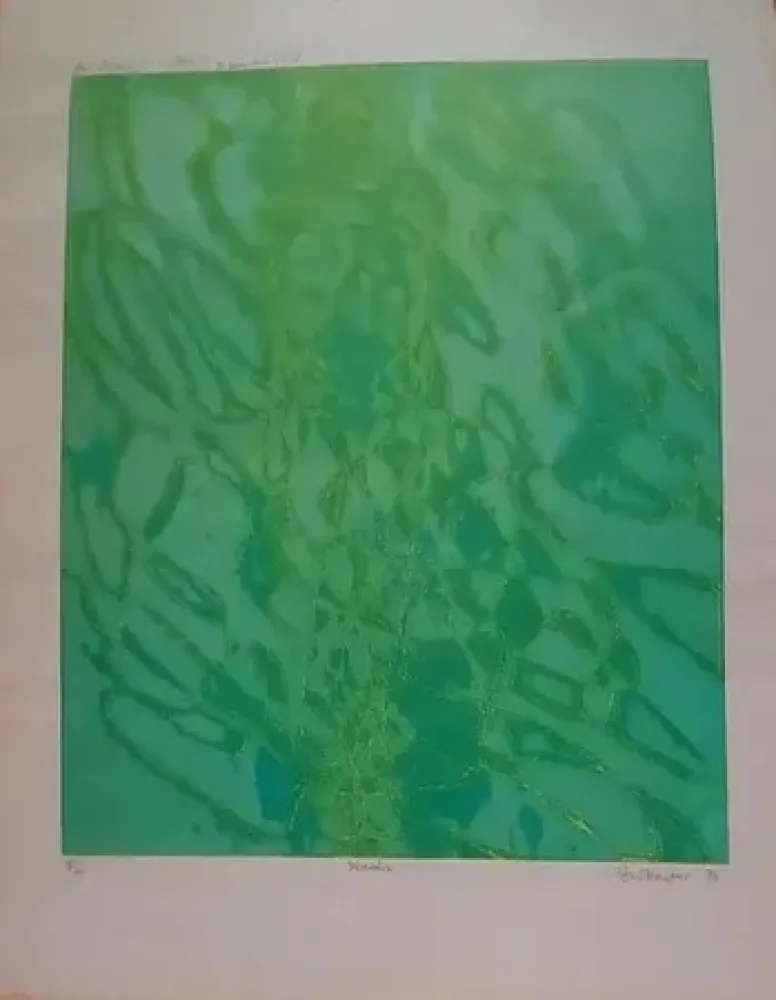 Grabado Hayter - Marais (1976)