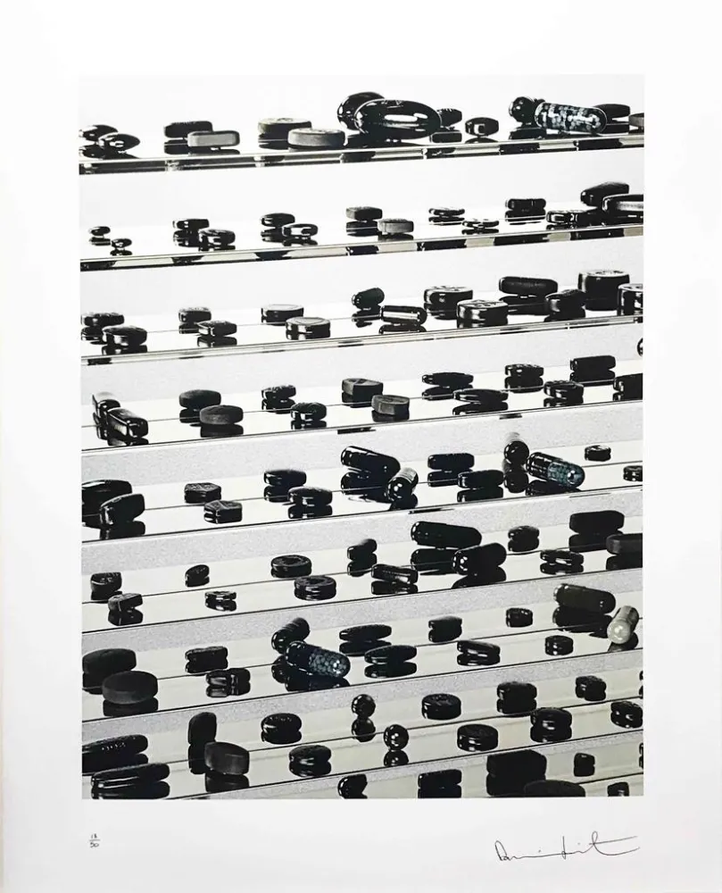 Sin Técnico Hirst - Black Brilliant Utopia