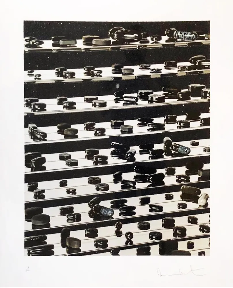 Sin Técnico Hirst - Dead Black Brilliant Utopia