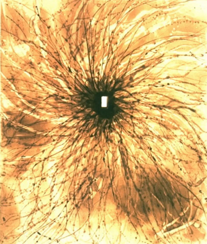 Aguatinta Kapoor - Door