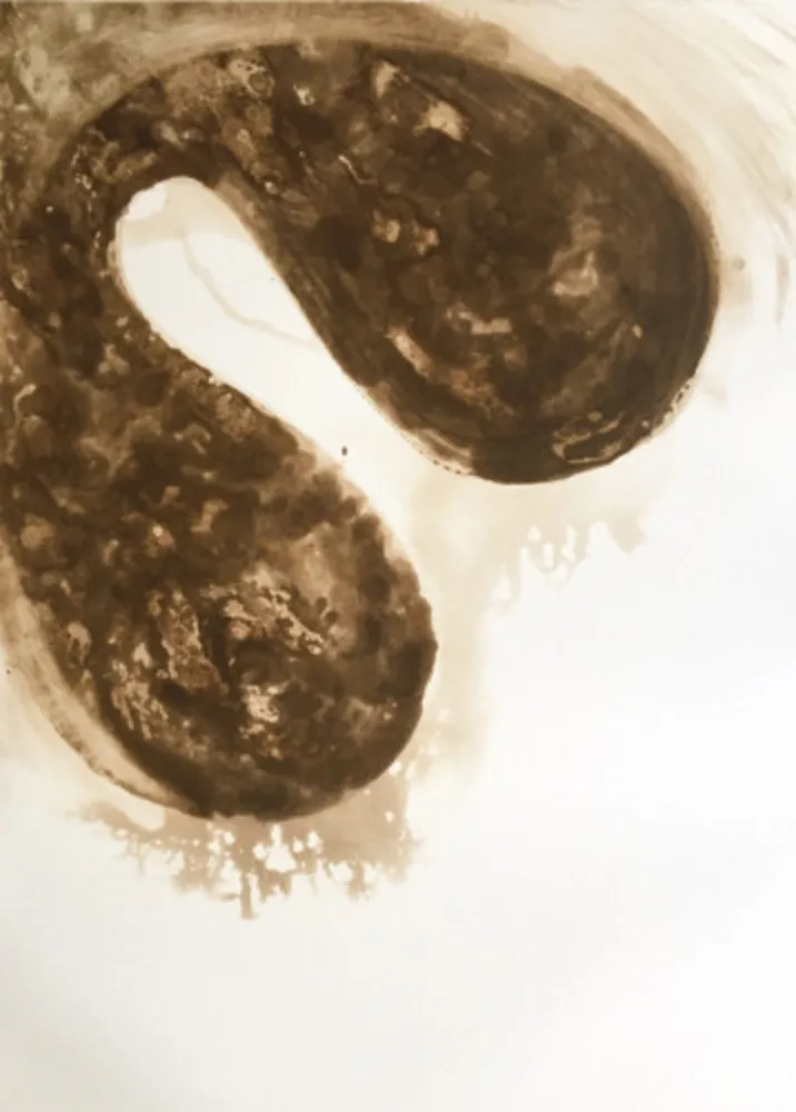 Aguatinta Kapoor - Untitled (12)