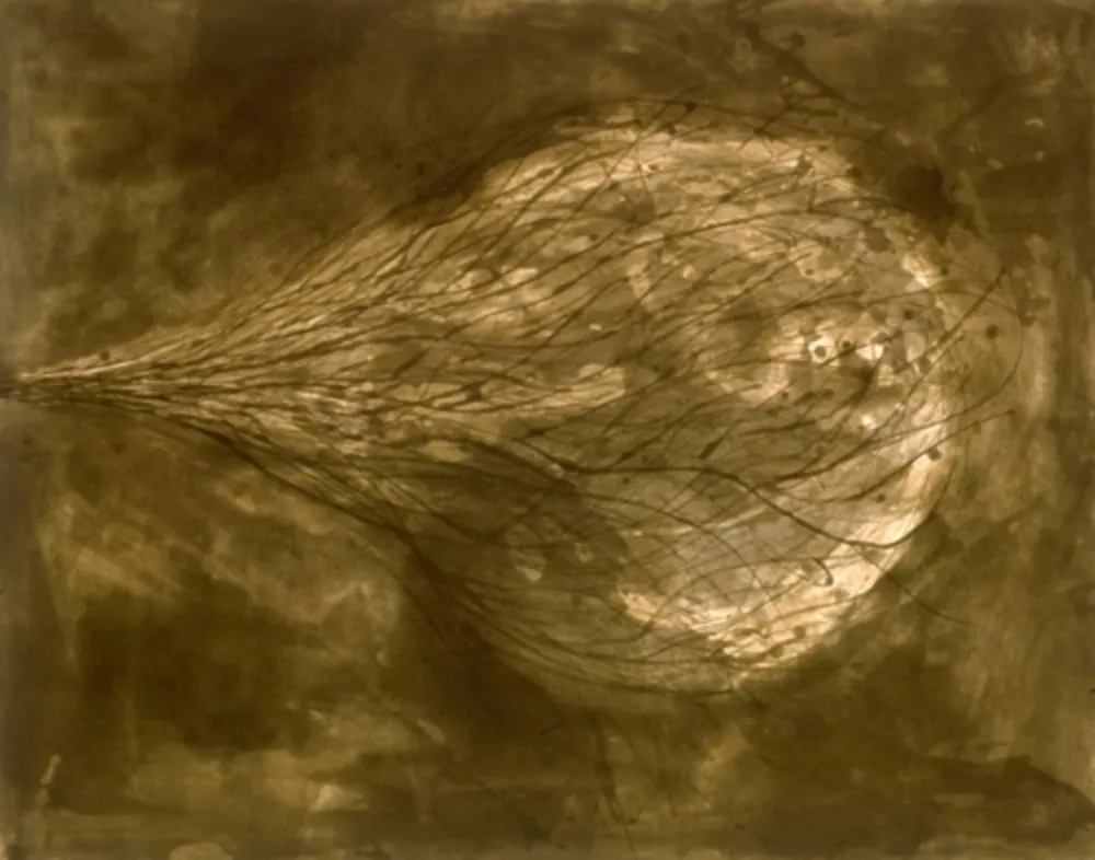 Aguatinta Kapoor - Untitled (III)