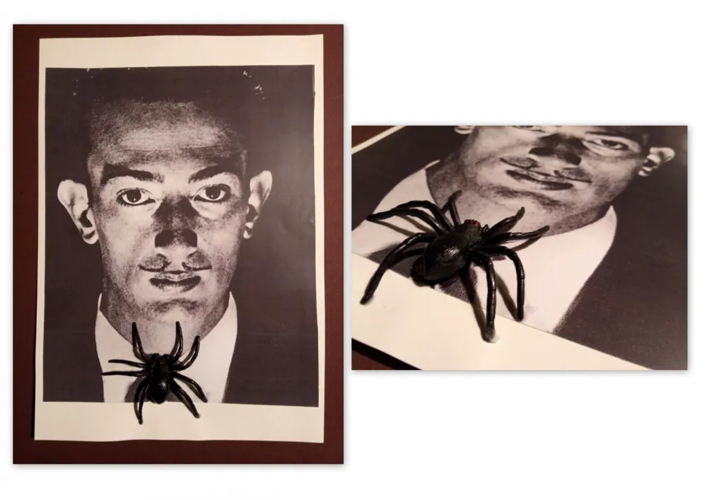 Sin Técnico Metras - Collage - Dalí S/T