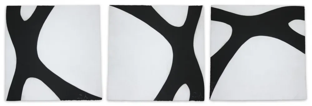 Aguatinta Muckensturm - 14C6